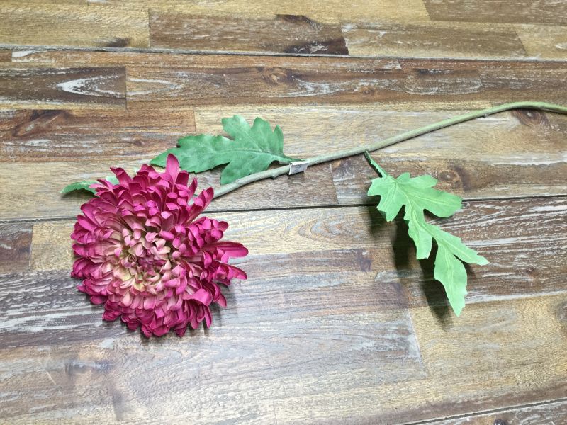 MR Plant blomst Rosa