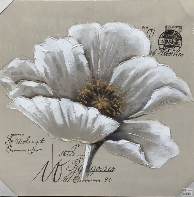 Hovedbilde LG bilde hvit blomst