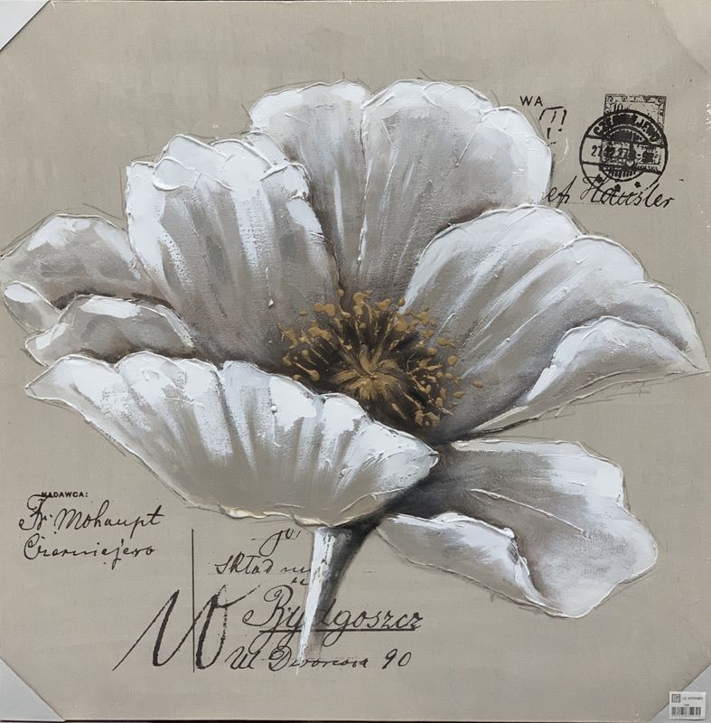 LG bilde hvit blomst