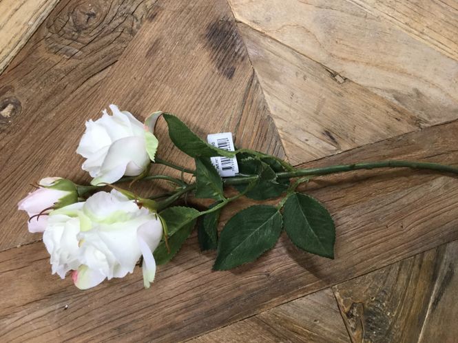 Hovedbilde Mr Plant Rose Bukett Hvitt