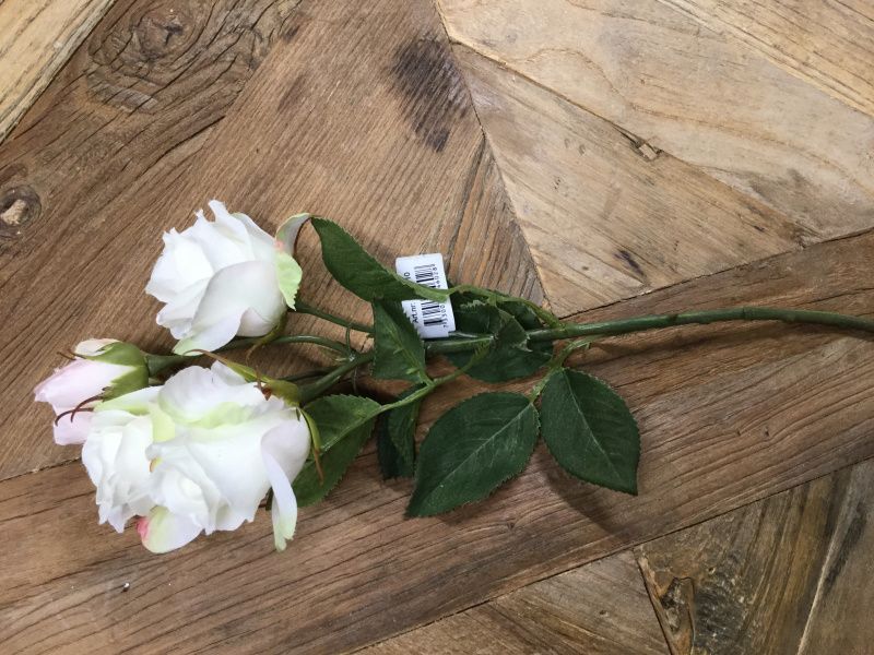 Mr Plant Rose Bukett Hvitt