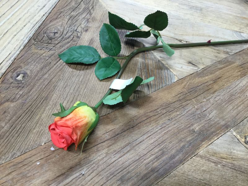 Mr Plant  Rose Små Orange